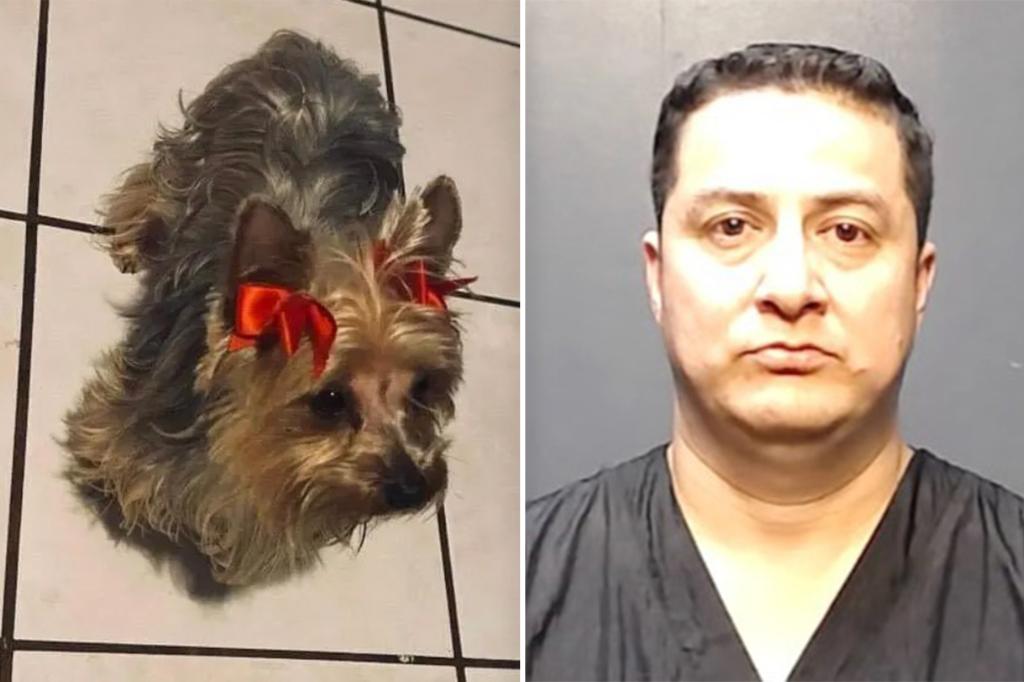 Texas dog groomer allegedly kills Yorkie being ‘aggressive’ during haircut