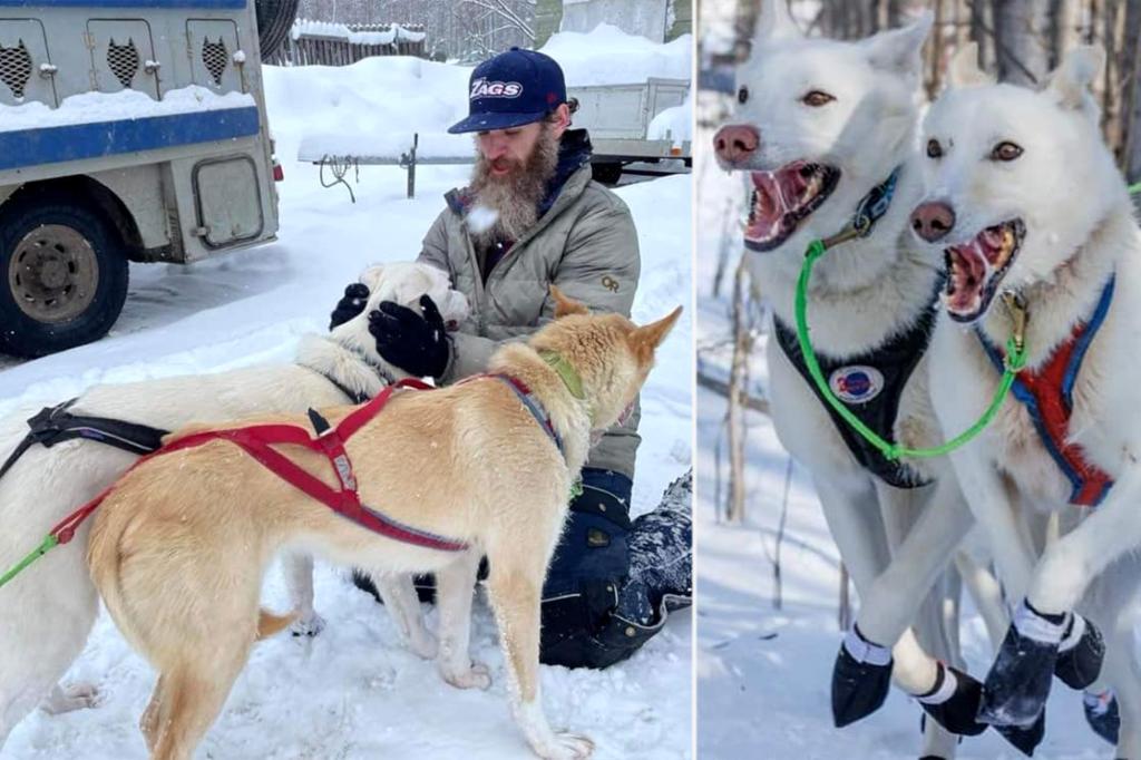 Three sled dogs killed after snowmachine collides head-on with team in Alaska: cops