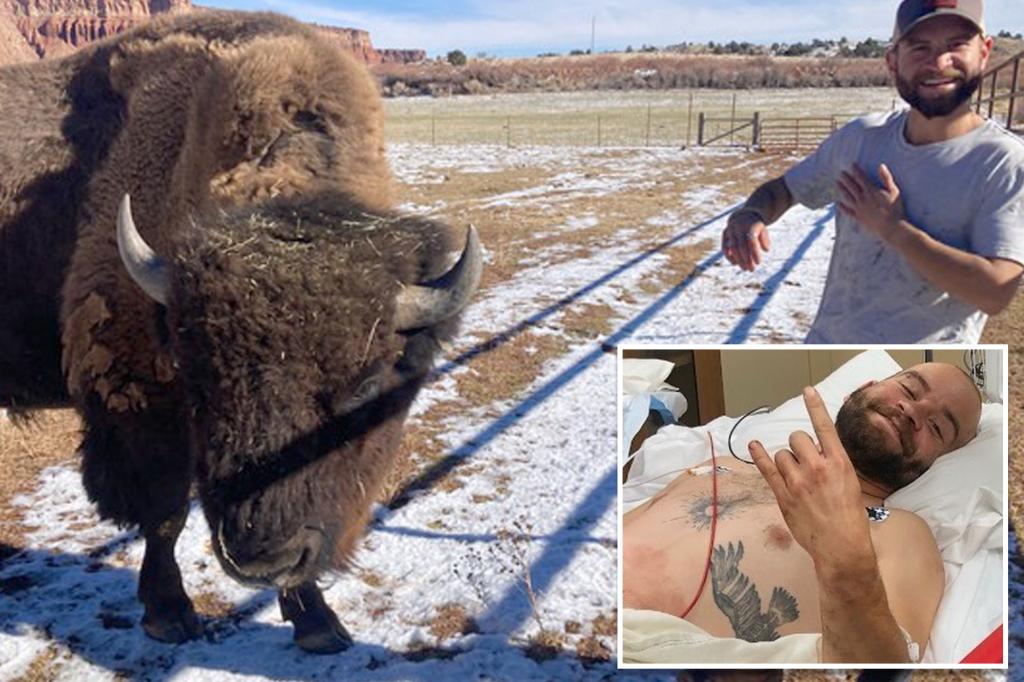 Utah man gored and seriously injured by bison he tried to pet admits he’s ‘definitely an idiot in this scenario’