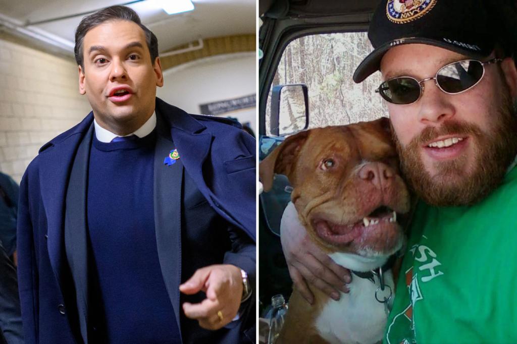 Veteran who claims George Santos stole thousands from dying dog’s GoFundMe said she’s ‘smiling from heaven’ over House expulsion