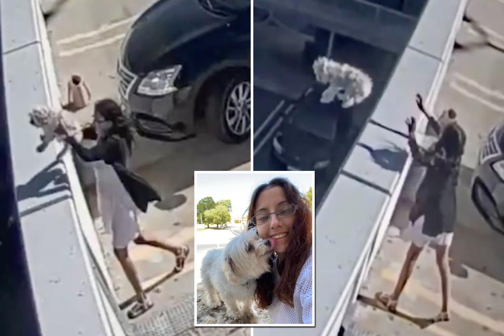 Woman caught on camera throwing dog off the top of a parking garage in grueling security footage: ‘I did her a favor’