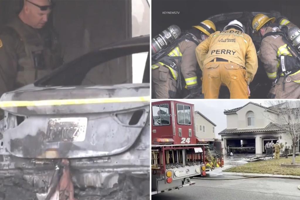Young California school teacher found dead inside trunk of burned car