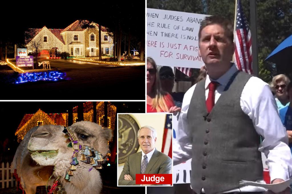 ‘Christmas Lawyer’ faces disbarment after calling judge ‘corrupt’ for banning his holiday display, which featured a camel, during HOA fight