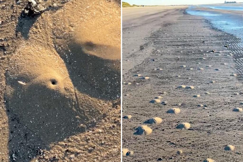 ‘Mini volcanoes’ made of mounds of sand appear scattered on Texas beach