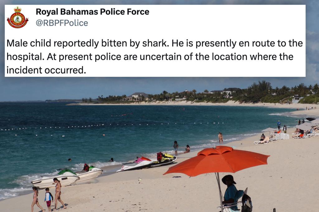 10-year-old American boy bitten by shark during tank encounter at Bahamas resort