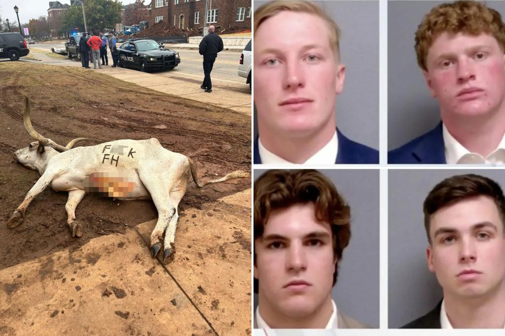 4 Oklahoma frat boys arrested for  ‘disturbing display’ of leaving branded dead longhorn outside rival fraternity