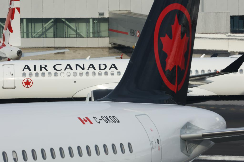 Air Canada passenger in ‘state of crisis’ tries to open door during flight