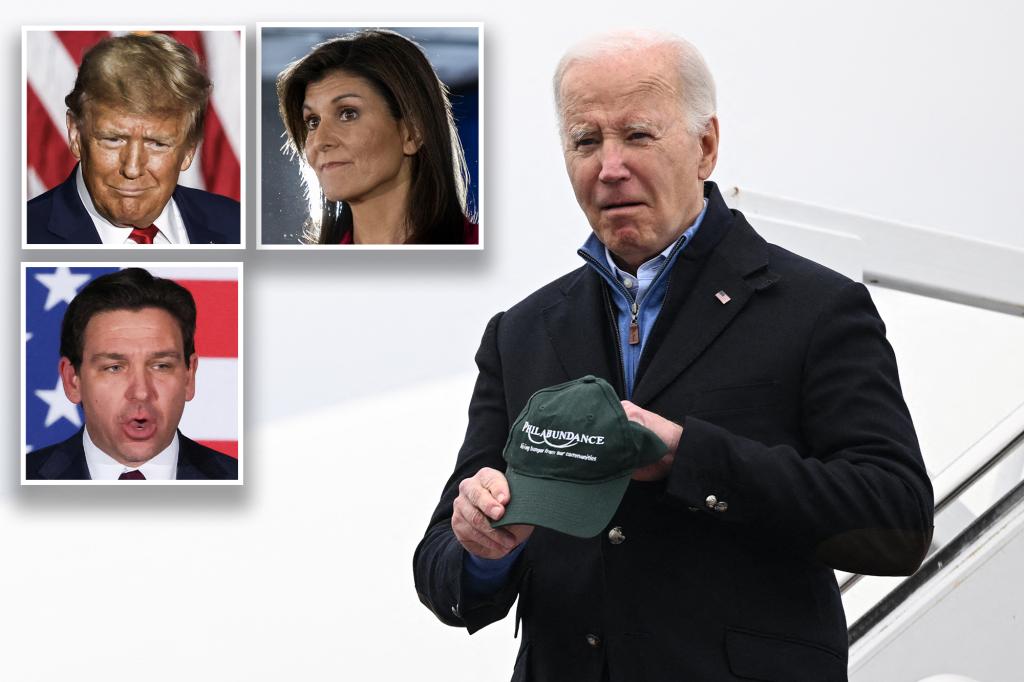 All GOP presidential candidates ahead of Biden in new poll, Haley holds largest lead