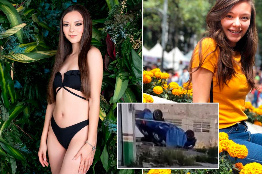 Beauty-queen lawyer Tania Alessi MarÃ­n Cruz dies in Mexico car crash