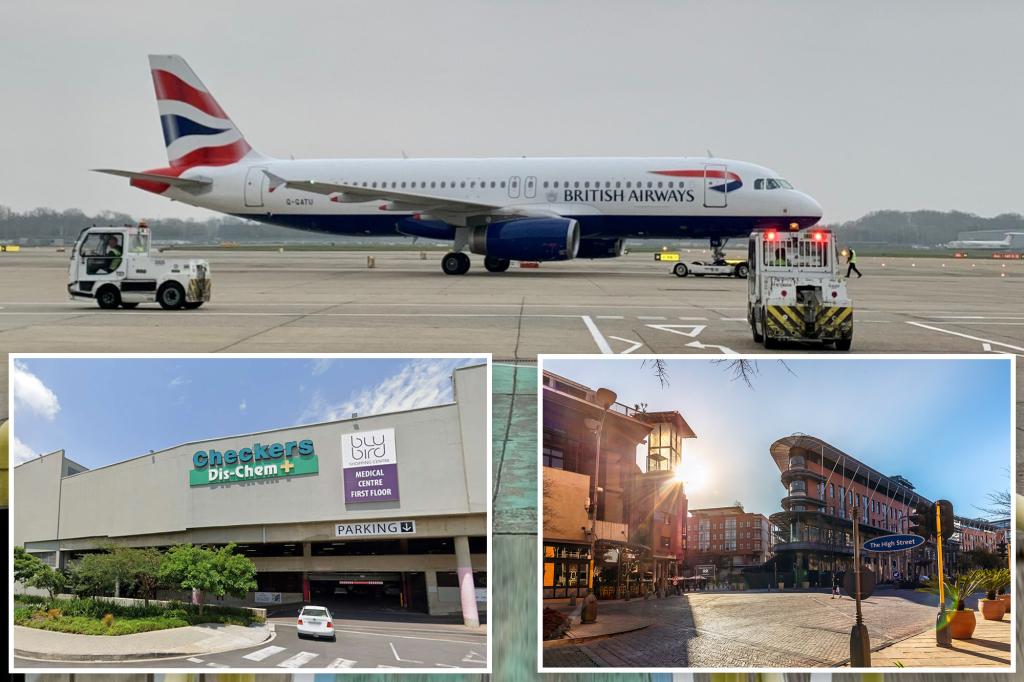 British Airways pilot kidnapped by thieves who emptied his bank account in South Africa