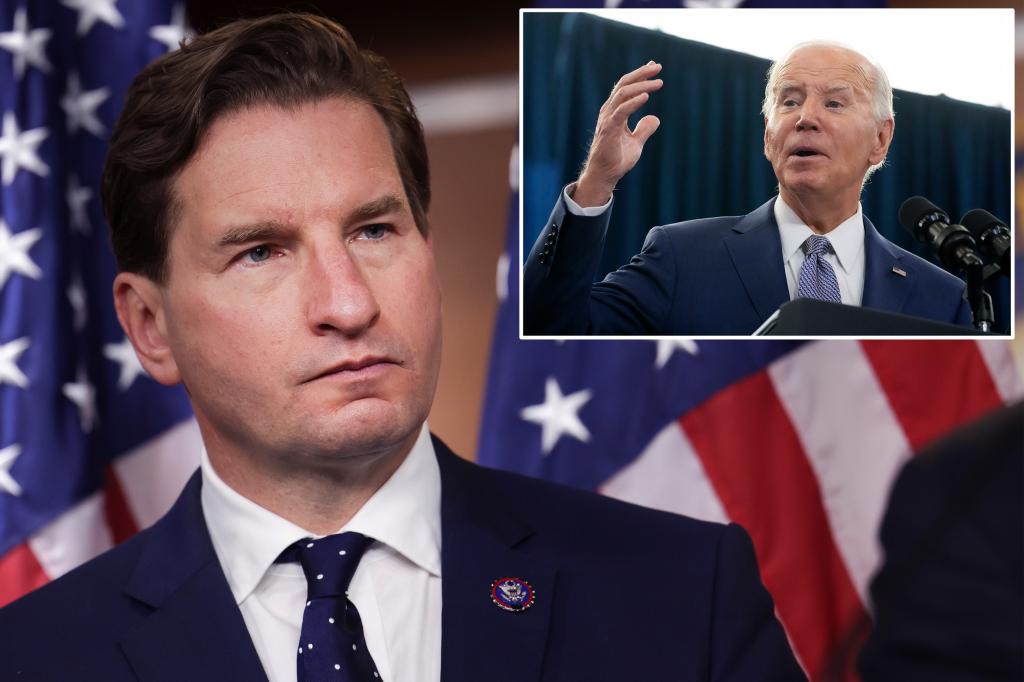 DNC efforts to squash Biden competitors ‘a threat to democracy’: Rep. Dean Phillips