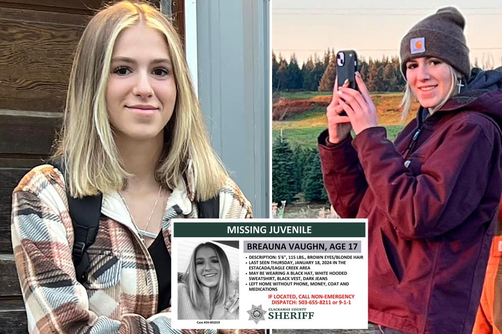 Frantic search underway for 17-year-old Oregon girl who went missing without coat, phone, money