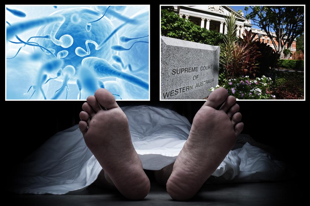 Grieving widow, 62, wins right to extract sperm from dead husband