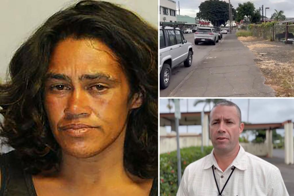 Homeless woman dragged her newborn by umbilical cord down Hawaii sidewalk: police