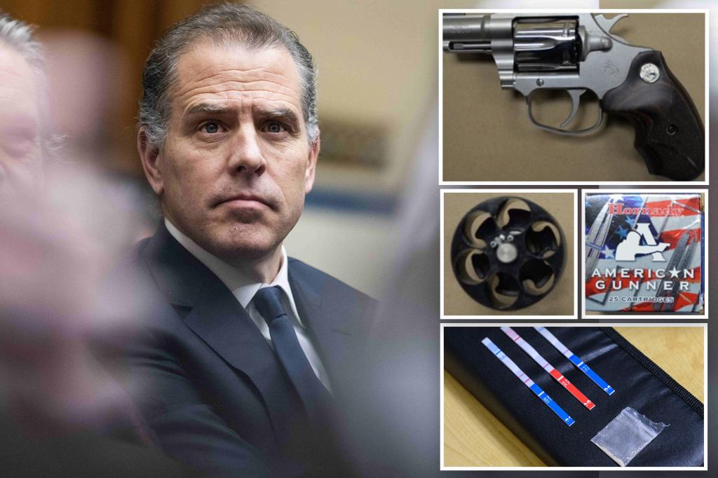 Hunter Biden’s gun pouch tested for cocaine last year after sister-in-law-turned-lover Hallie tossed it in trash in ‘18: docs