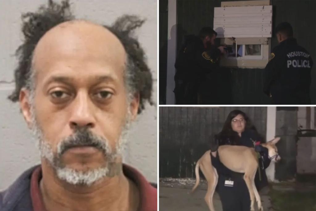 Man allegedly kidnapped pregnant panhandler off the street, drugged and sexually assaulted her for years: court docs