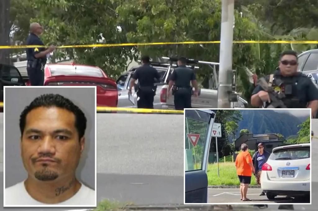 Man killed by police after hours-long manhunt for shooting ex-girlfriend in Hawaii