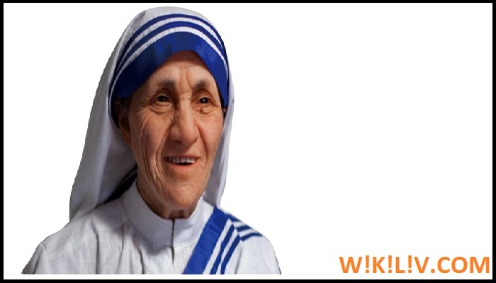 mother teresa essay in english