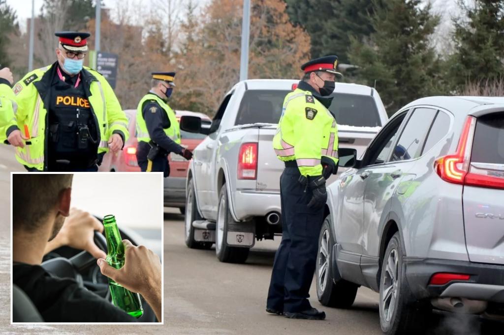 New driver charged with having a beer while driving to ‘celebrate’ passing road test 20 minutes earlier