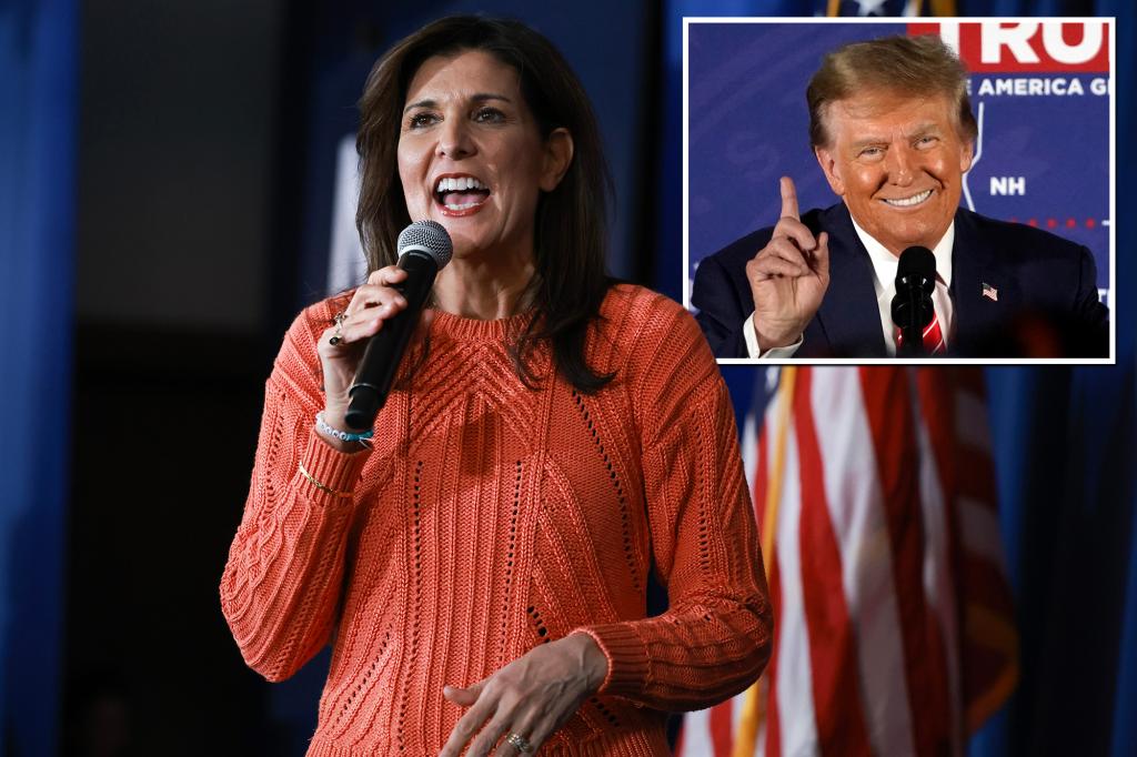 Nikki Haley turns down marriage proposal from Trump voter at New Hampshire rally