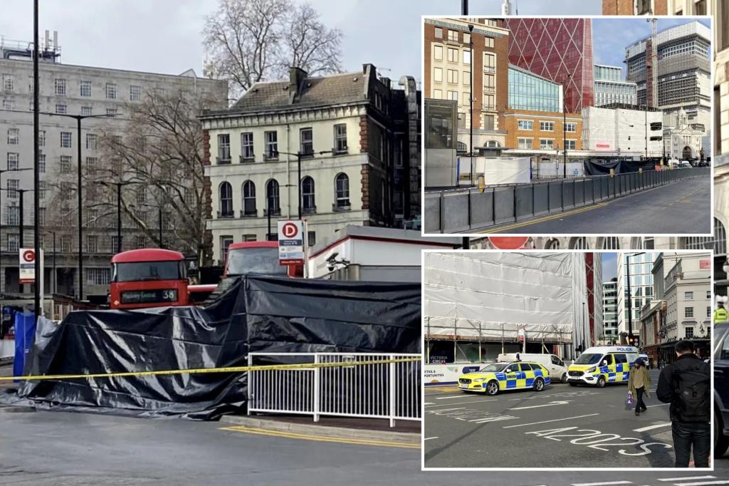 Pedestrian mowed down by bus in front of horrified commuters at London’s Victoria Station