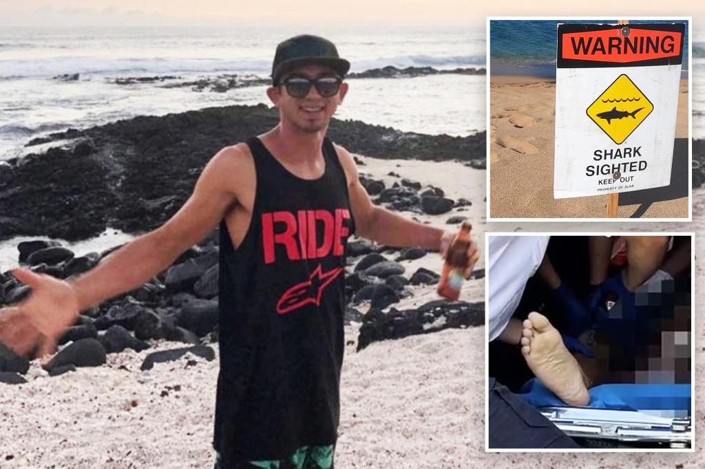 Surfer dies in shark ‘encounter’ in Hawaii