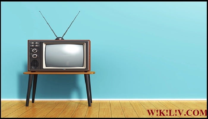 television essay in english