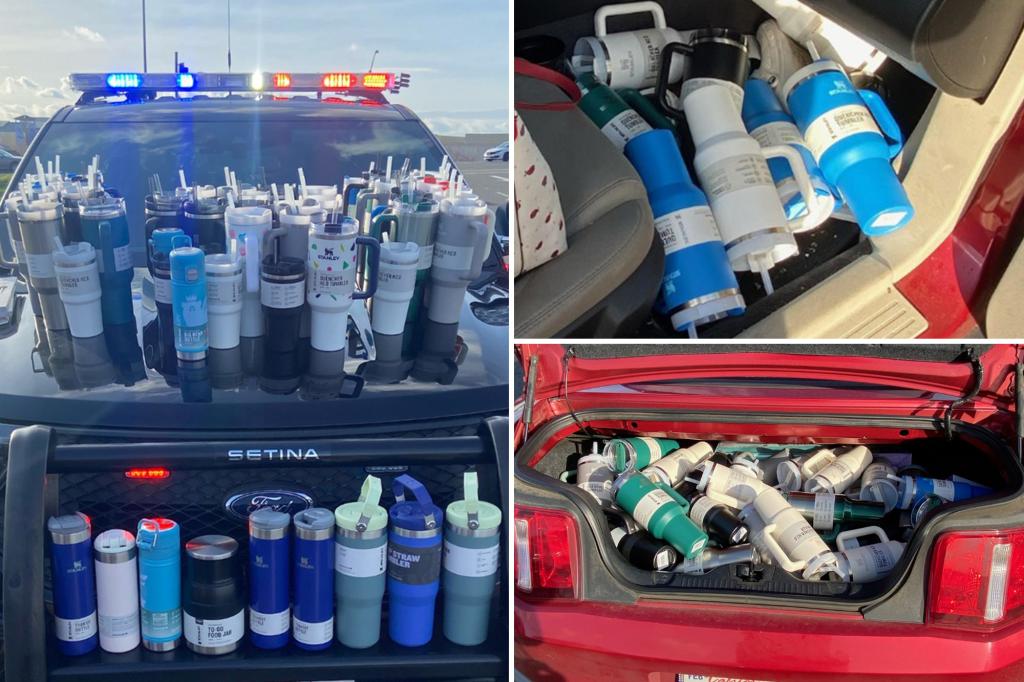 Thirsty thief caught with $2,500 worth of stolen Stanley cups spilling over in her car