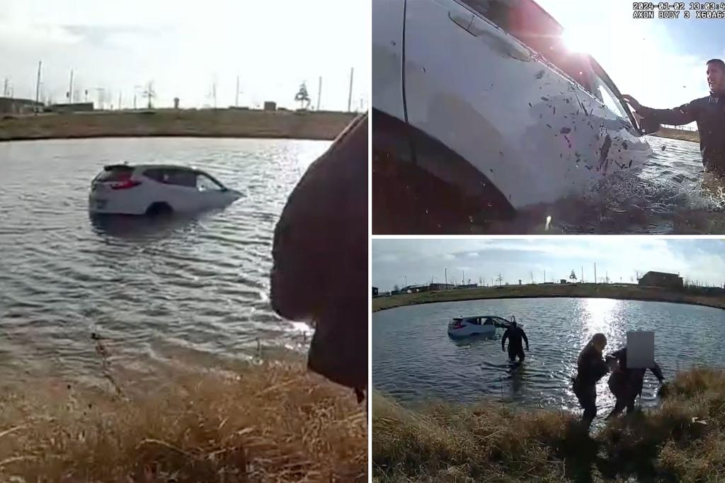 Video shows Illinois police rescue family, toddler trapped inside sinking car: ‘Break it!’