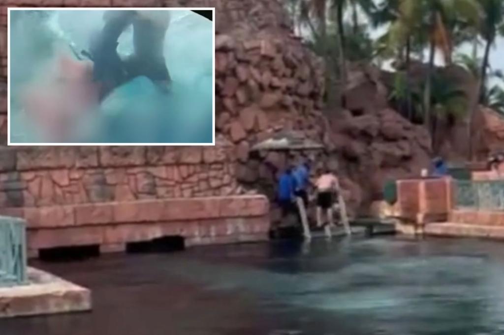 Video shows chaotic moments after boy, 10, gets bit by shark on Bahamas vacation