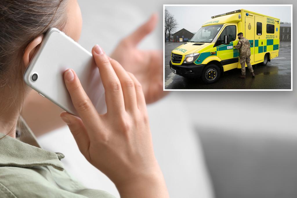 Welsh Ambulance Service reveals 2023’s most ridiculous emergency calls: ‘My hand’s stuck in the f–king letterbox’