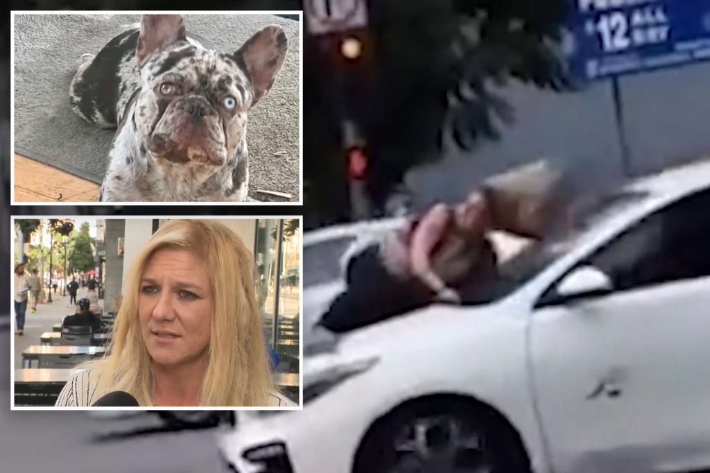 Woman clings to hood of speeding car after thieves stole her French bulldog in LA: video