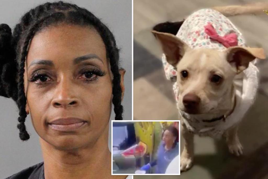 ‘Cold-hearted’ nurse accused of killing neighbor’s cats, pregnant dog with pesticide