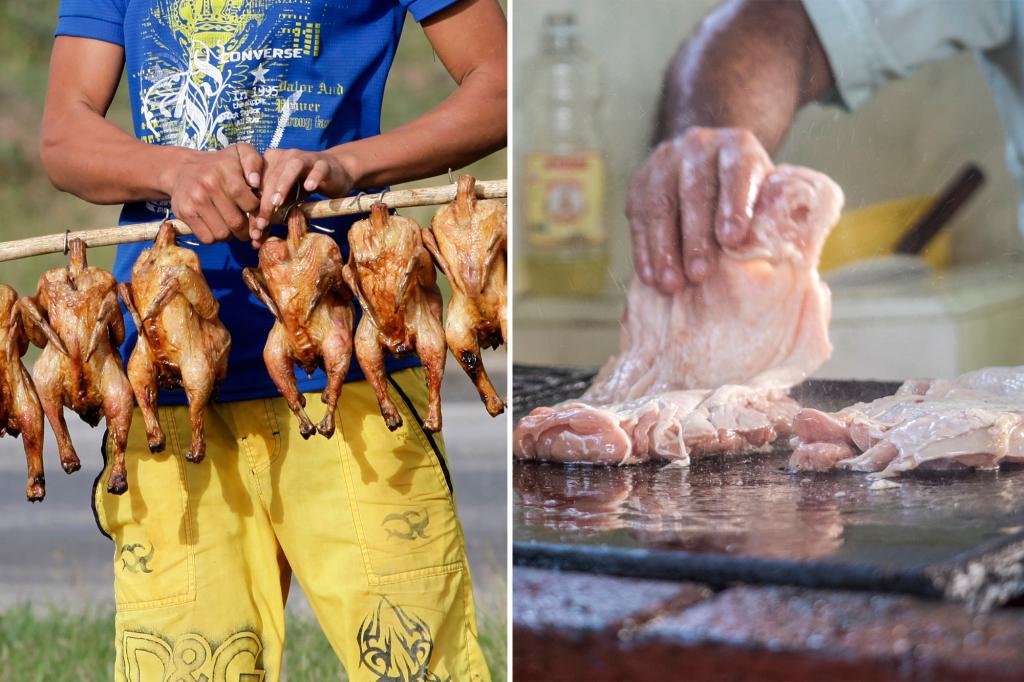 30 thieves steal 133 tons of chicken from Cuban plant to buy laptops, appliances