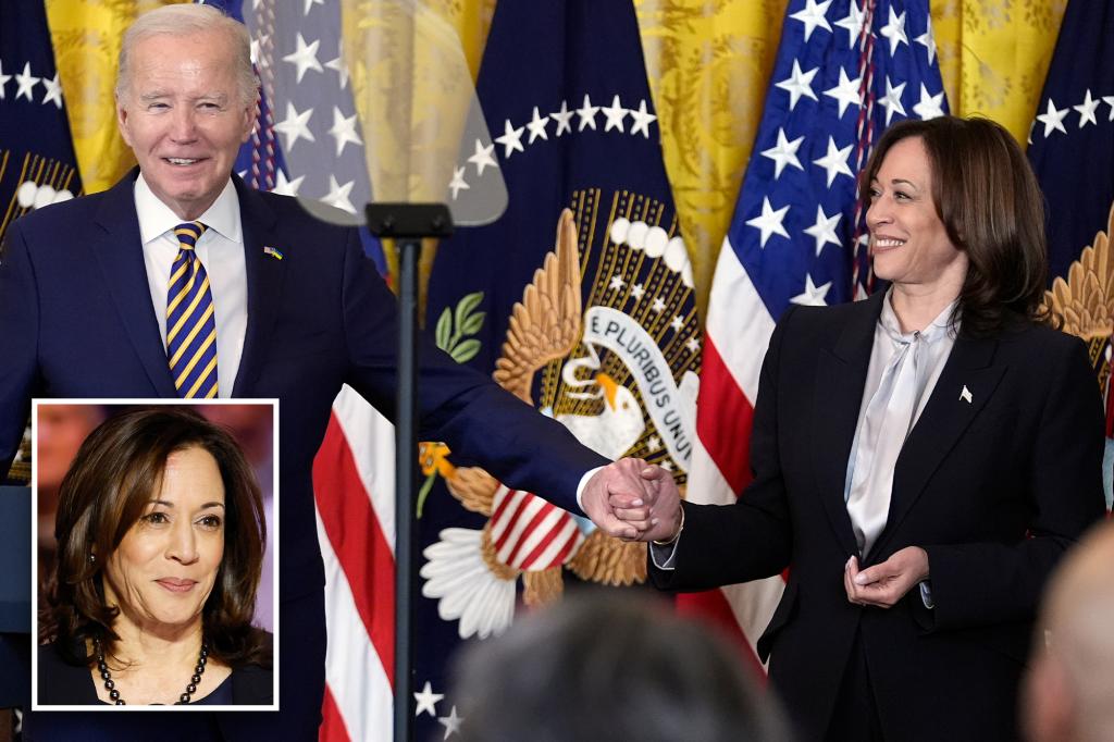 Dems fear no way to replace Biden before election after brutal report on prez’s memory – but Harris replacing him is ‘realistic’ 