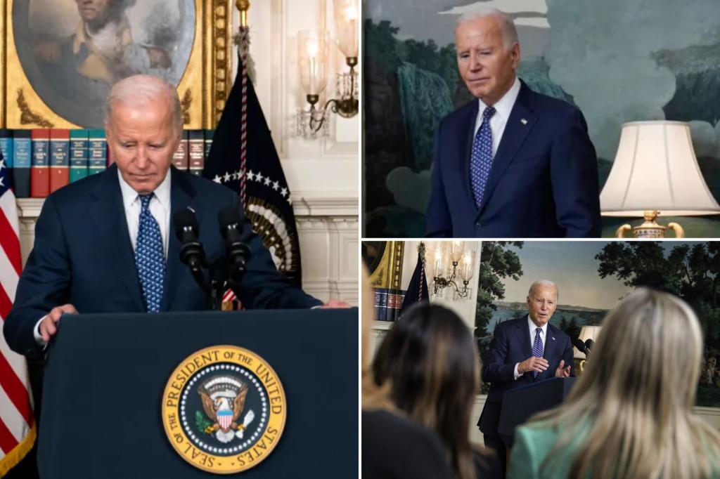 Doctors call for Biden to take mental competency test after scathing classified docs report: ‘Something isn’t right’