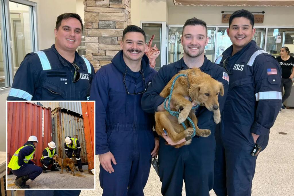 Dog rescued after more than a week trapped inside shipping container in Texas port