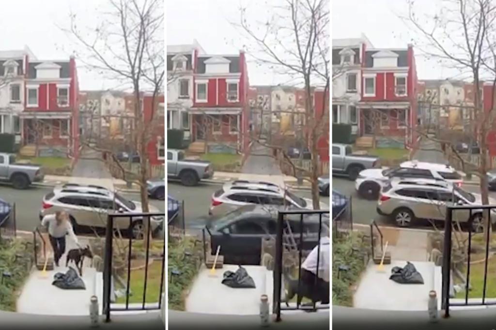 Driver hops curb in stolen car, narrowly misses running down woman and her dog: police