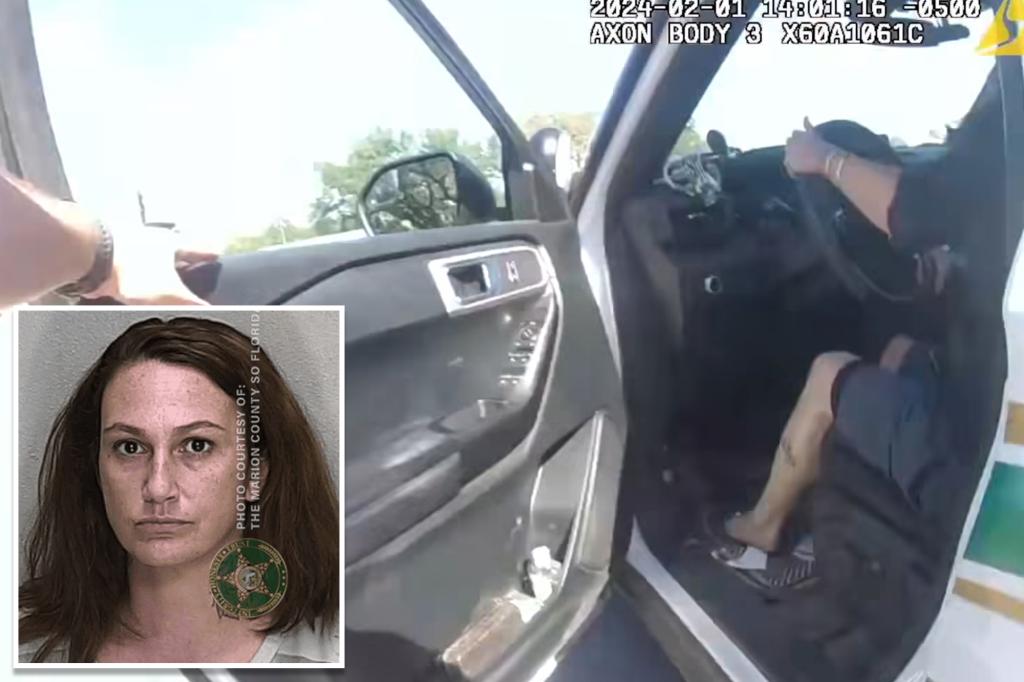 Florida woman steals deputy’s patrol car, crashes into oncoming traffic killing herself and 2 others: video