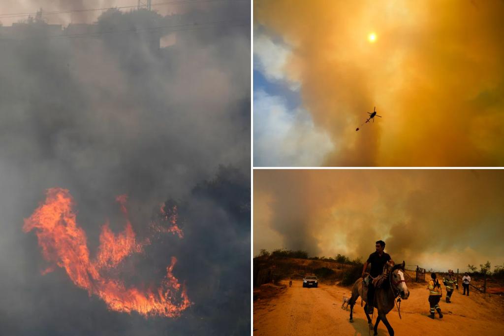 Forest fires kill 51 in Chile, menace urban areas