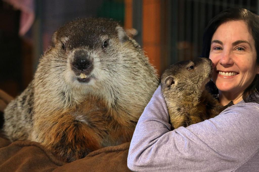 Kentucky groundhog dies on Groundhog Day after making prediction of an early spring