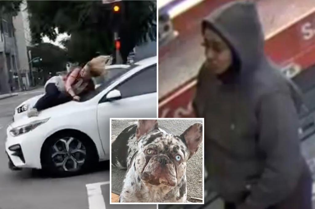 LA dognapper nabbed after stealing French bulldog in frightening scene that left owner clinging to hood of car: cops