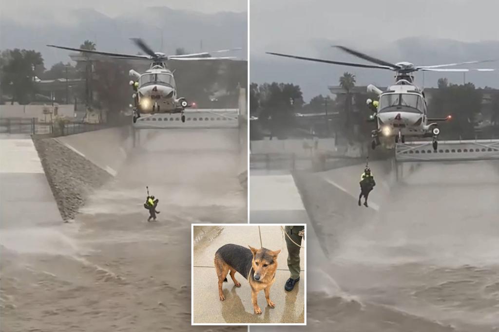 Man rescued from raging Los Angeles River after jumping in to save dog