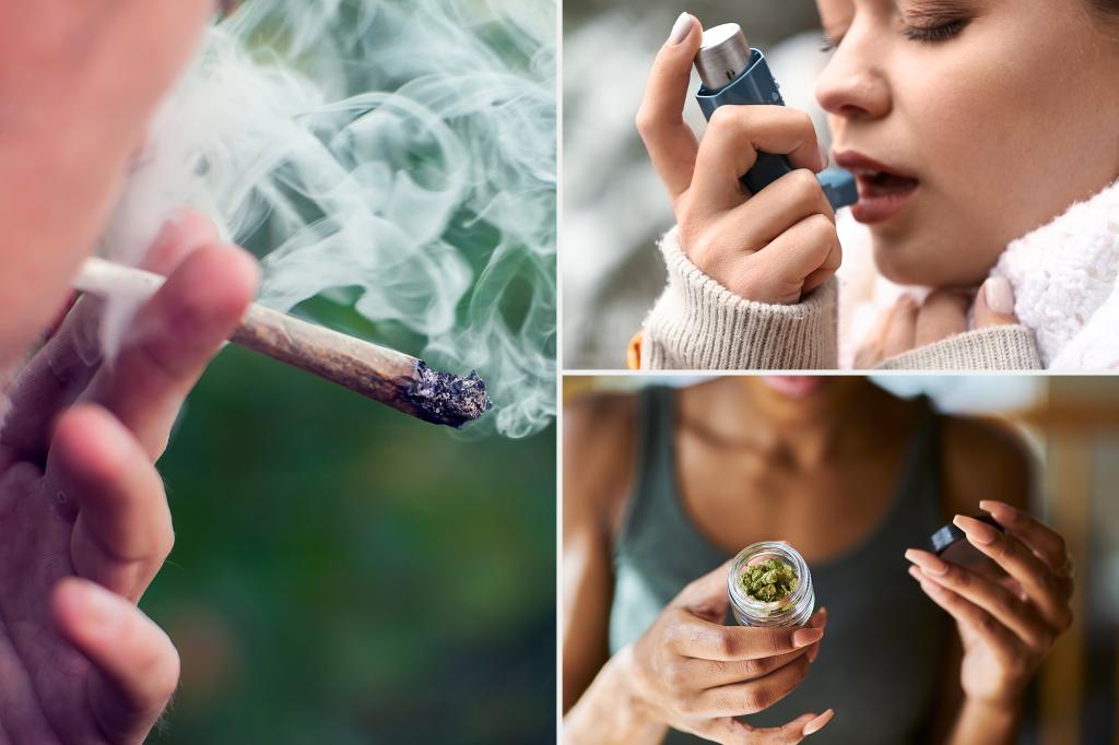Marijuana use linked to increased asthma risk in youth: study