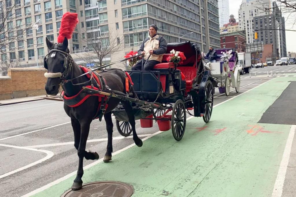 NYC cyclists rage about horse carriages blocking new bike lane to Central Park