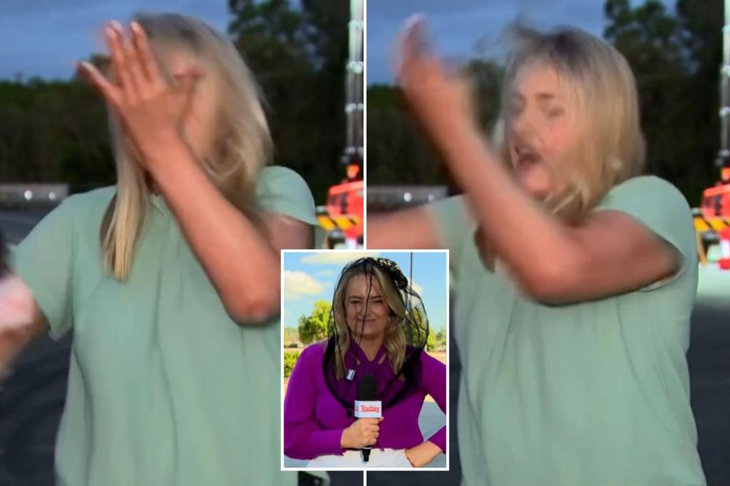 News reporter hilariously slaps herself in face after being attacked by pesky mosquito on live TV: ‘All the buzz!’