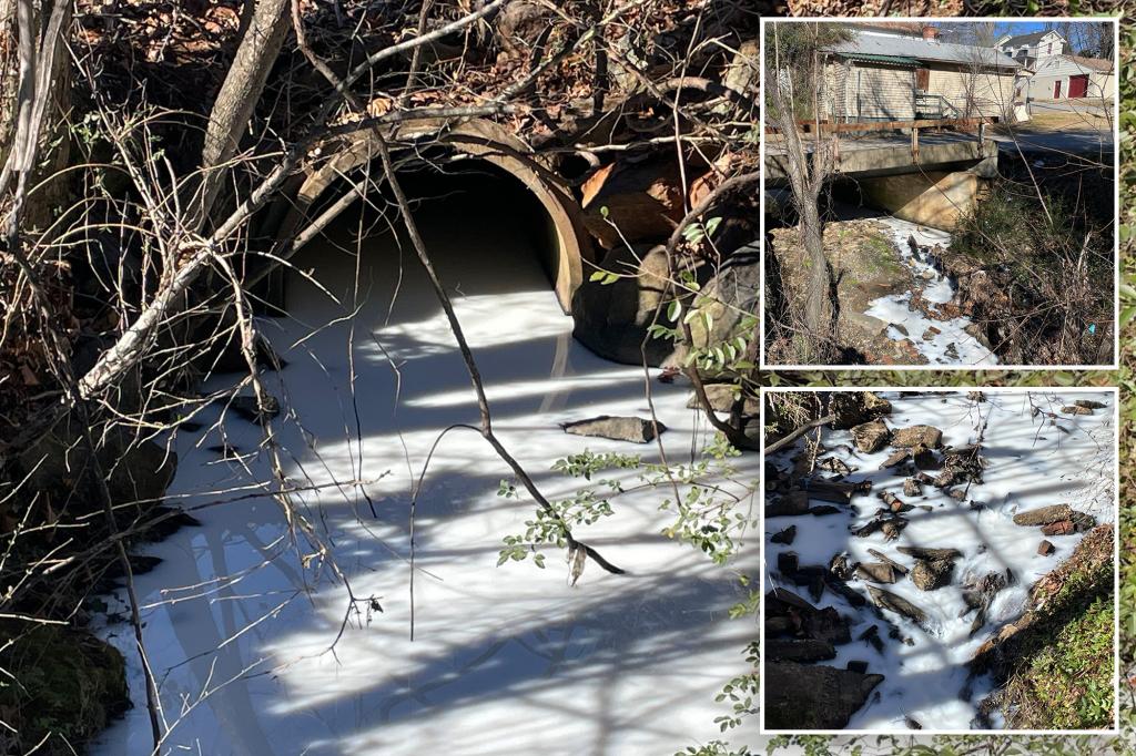 Spilled milk dyed a Virginia creek white — see the unbelievable pictures taken of the incident