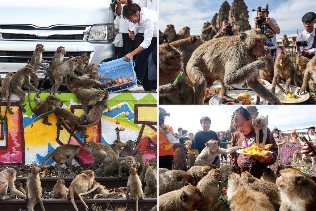 Thousands of monkeys invade Thai city, driving out tourists and businesses: report