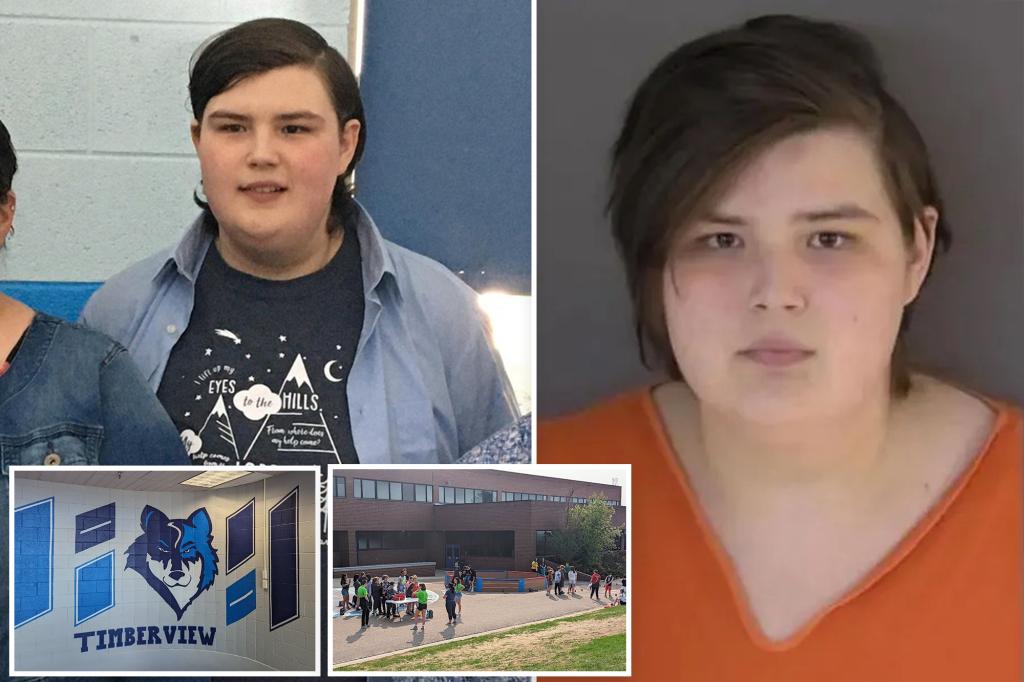 Trans teen who planned mass school, church shootings and wrote chilling manifesto sentenced to 6 years