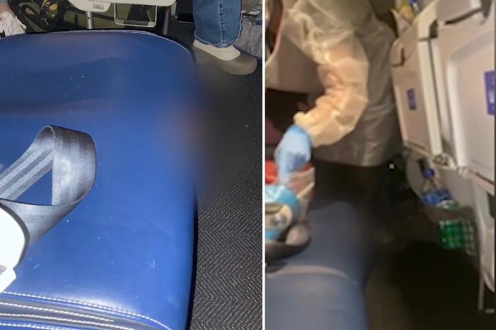‘Cooped up’ tiny dog poops on United Airlines flight as fellow travelers scramble to figure out the culprit: ‘Accidents happen’